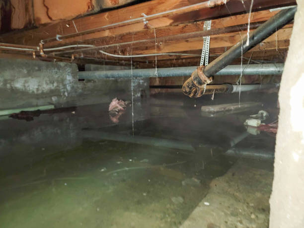 Best Water damage restoration near me  in Cataula, GA