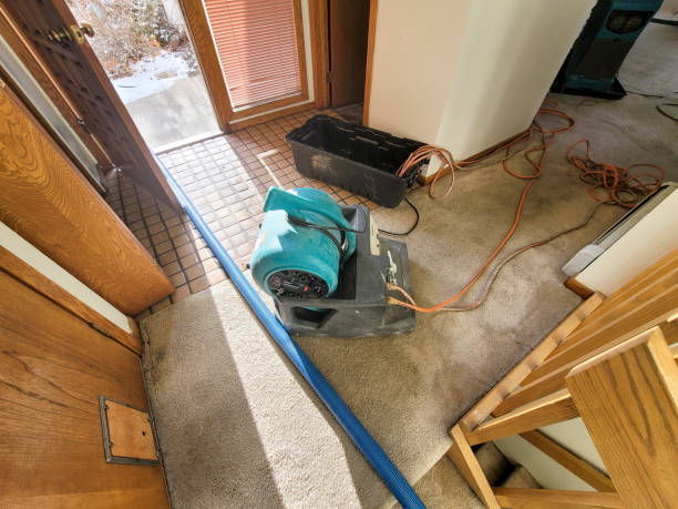 Best Carpet water damage restoration  in Cataula, GA