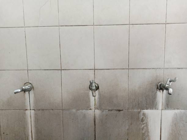 Best Water damage cleanup near me  in Cataula, GA