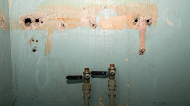 Best Water damage restoration near me  in Cataula, GA