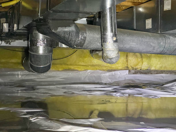 Best Mold removal after water damage  in Cataula, GA