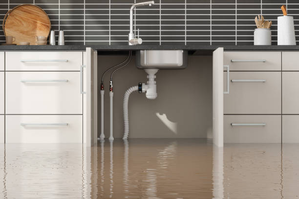 Best Carpet water damage restoration  in Cataula, GA