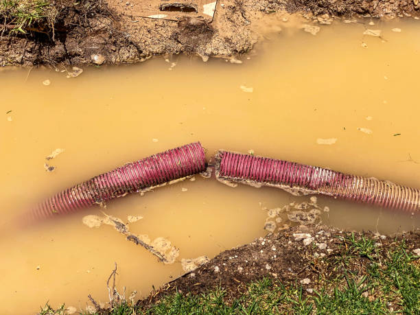 Best 24-hour water damage restoration  in Cataula, GA