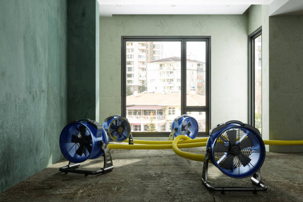 Best Water damage restoration near me  in Cataula, GA