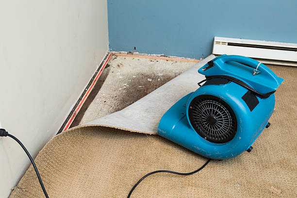 Best Flood restoration services  in Cataula, GA